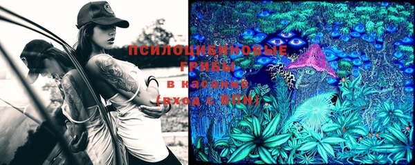 ешки Алексин